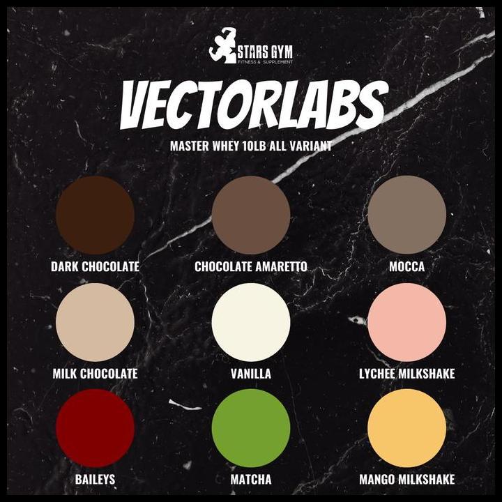 Promo Vectorlabs Master Whey 10Lbs
