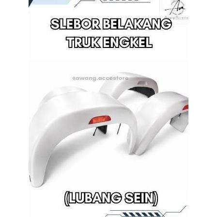 SLEBOR TRUK ENGKEL SPAKBOR BELAKANG ENGKEL PELINDUNG RODA FENDER RODA TRUK ENGKEL ring 15 variasi tr
