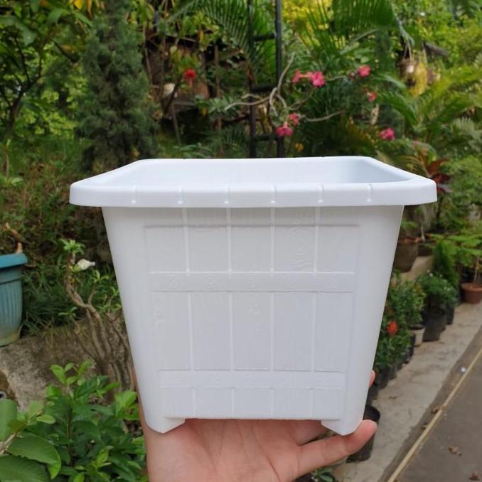 Parque - Lovenia Segi Psg 25 Pot Bunga Plastik Putih Bersih Kotak Tebal Motif Gentong
