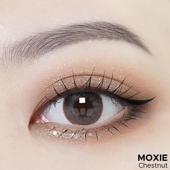 Exoticon Softlens - Moxie - Chestnut Eye Soflens Lensa
