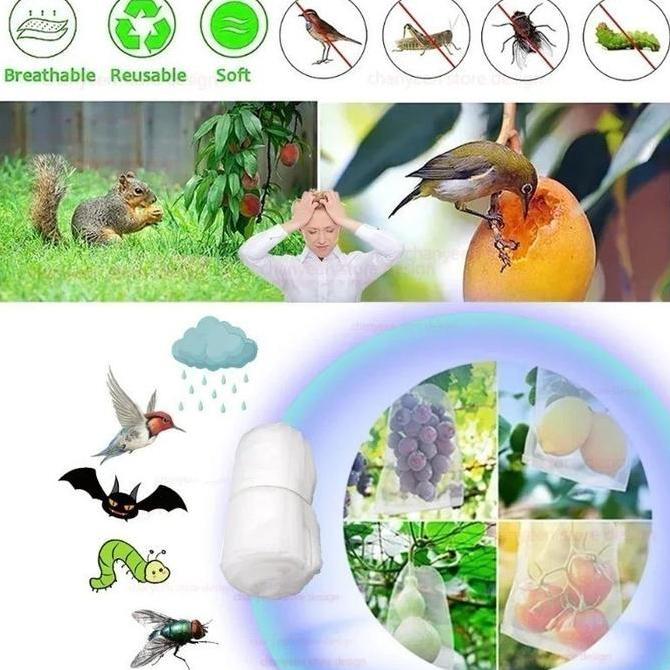 100PCS Fruit Cover/Pembungkus Buah/Fruit Cover Anti Serangga/Fruit cover net jaring transparan pembu