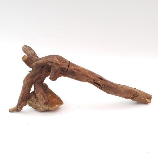 KAYU AQUASCAPE / KAYU SANTIGI SIZE S / AKAR SANTIGI / SANTIGI WOOD JS