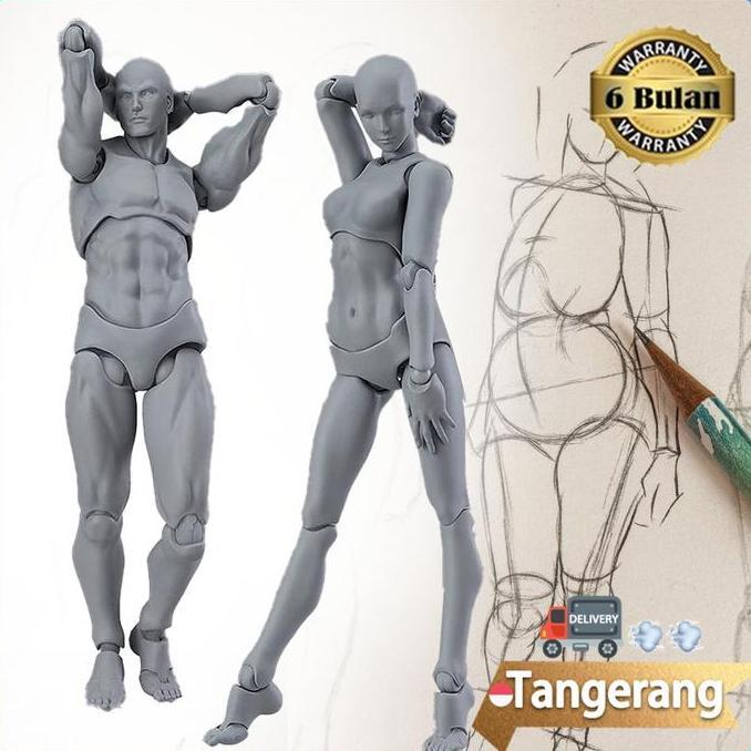 ROPA Figuart Body Kun / SHF Body Kun / Action Figure Model Male Female Body Archetype Model