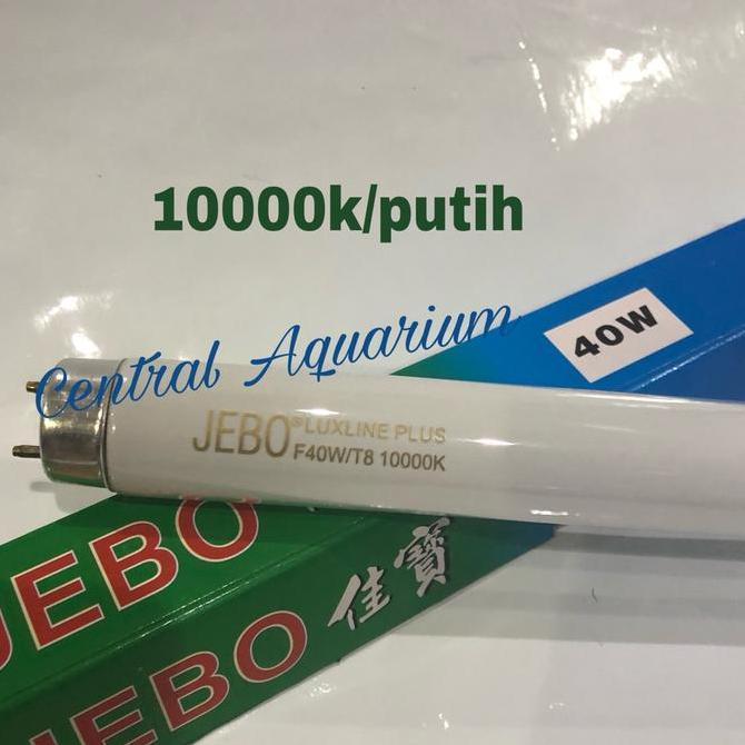 JEBO TL T8 SUPER SUN 10000K PUTIH 40W