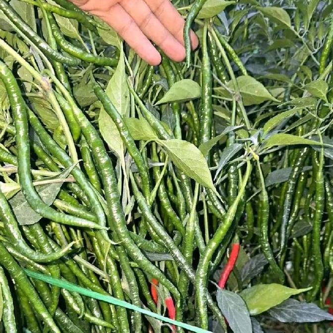 Promo Cmk Lokal Siboras 20 Gram Cod