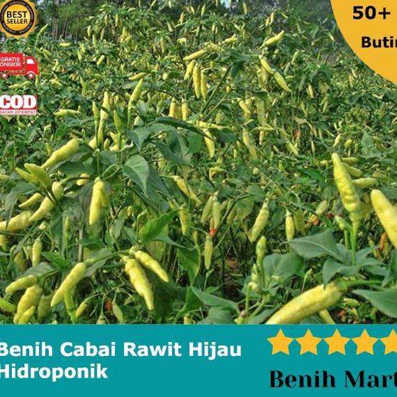 Promo Benih Bibit Cabai Cabe Rawit Hijau Unggul Cod