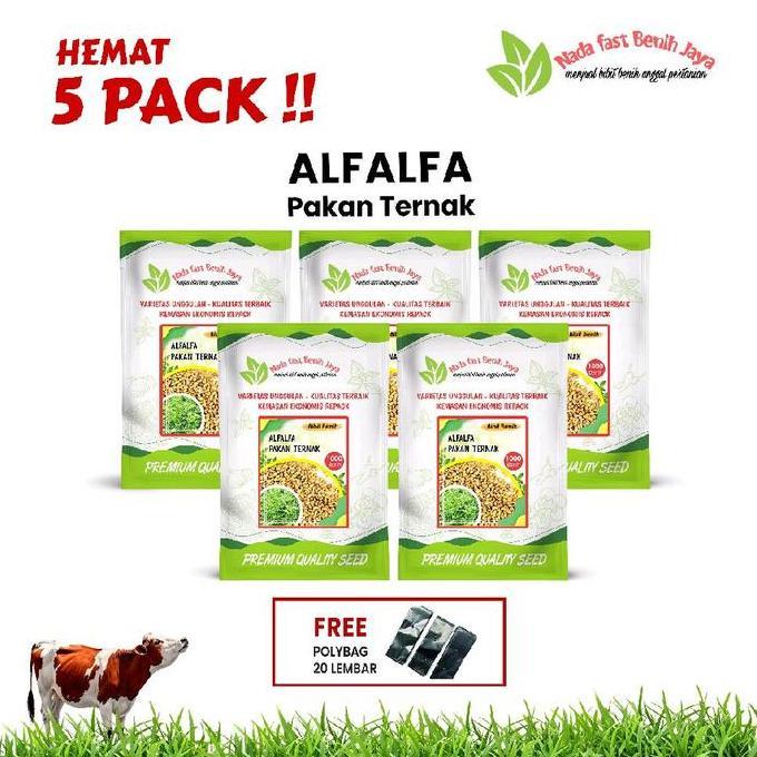 Bestseller- 5 Pack benih alfalfa - benih pakan ternak benih tanaman alfalfa