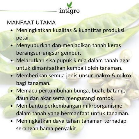 Pupuk Petai Booster / Pupuk Pete Booster / Pupuk Pelebat Pete Petai Penyubur TanamanPetai Penggembur