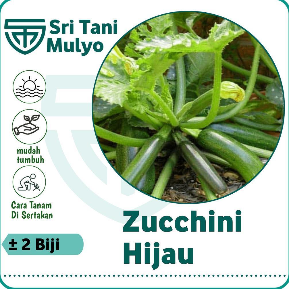 2 Biji - Benih Zucchini Hijau Bibit Tanaman Zukini - Sukini Zukini Zucini IMPORT - Bibit Sayuran