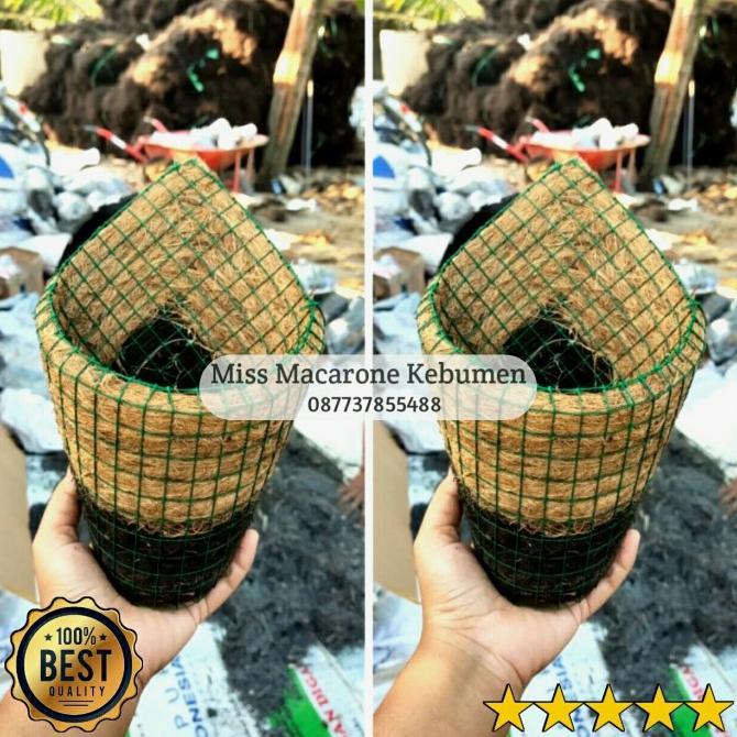 Readyyy pot anggrek sabut kelapa pot keong sabut kelapa pot kerucut anggrek
