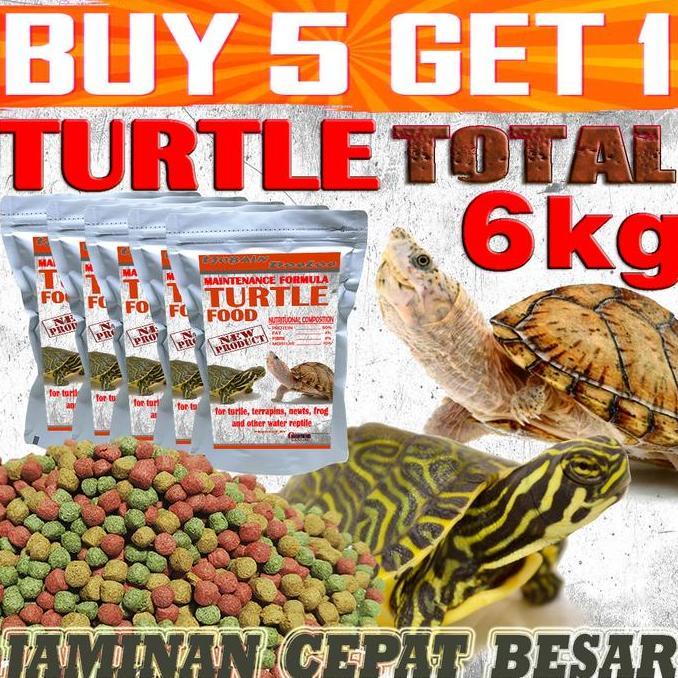 MAKANAN KURA-KURA AIR BRAZIL RES CST DAMER DADA MERAH KURA AMBON RAZOR PIPUT MONBI AST ALIGATOR PELE
