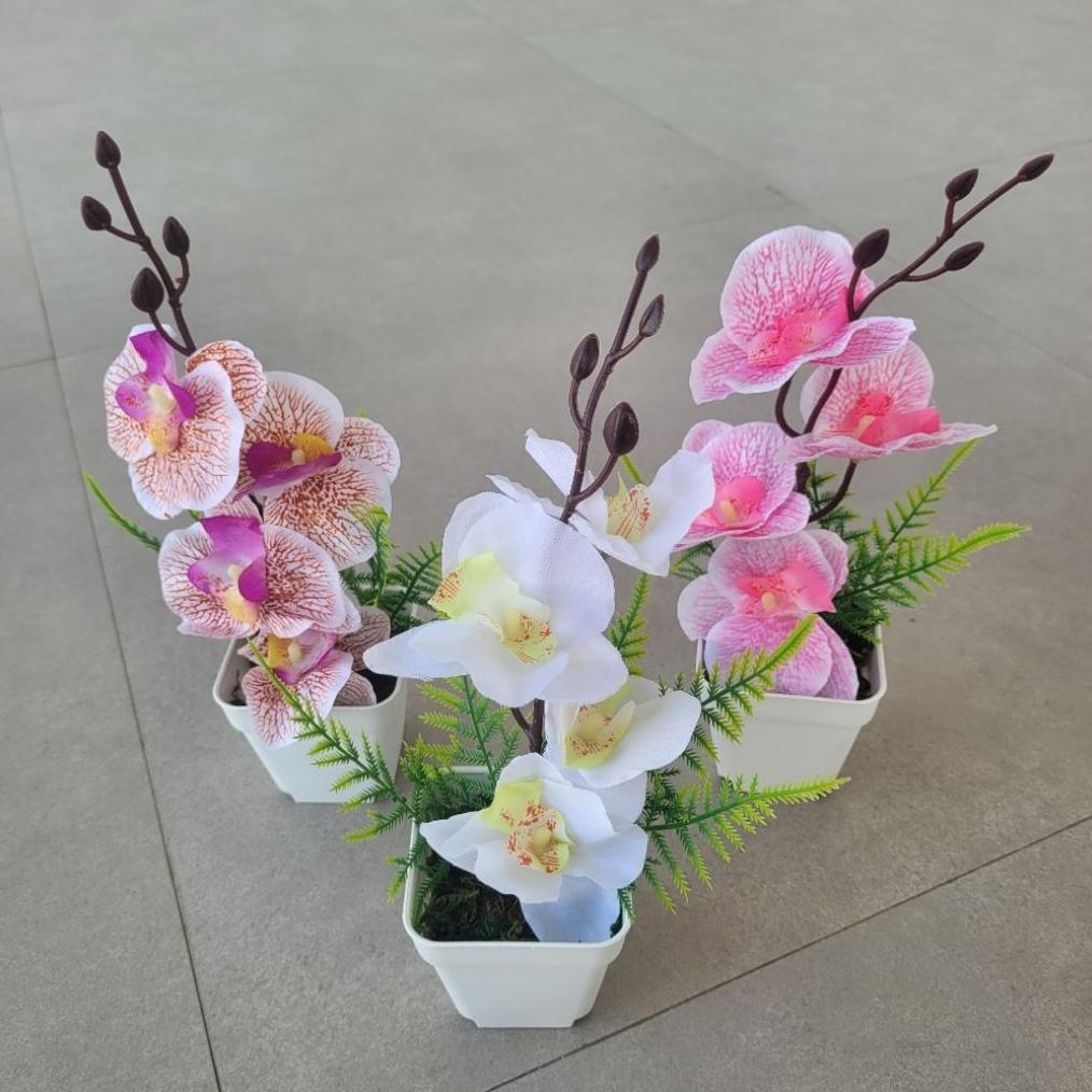 LIMITED BUNGA PLASTIK ANGGREK BULAN MINI ARTIFICIAL