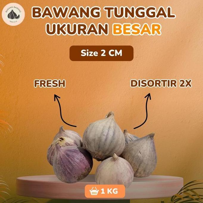 Cod,Bisa- Bawang Putih Tunggal Lanang Besar 2 Cm 1 Kg