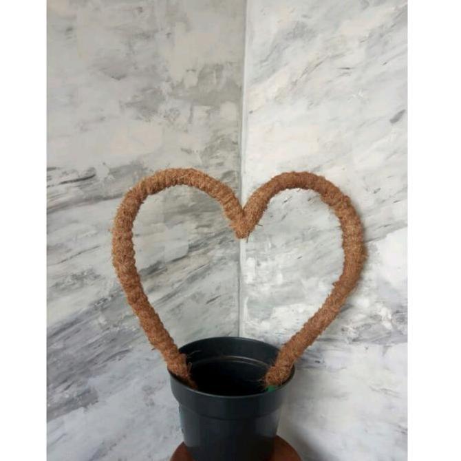 TURUS MEDIA BUNGA RAMBAT