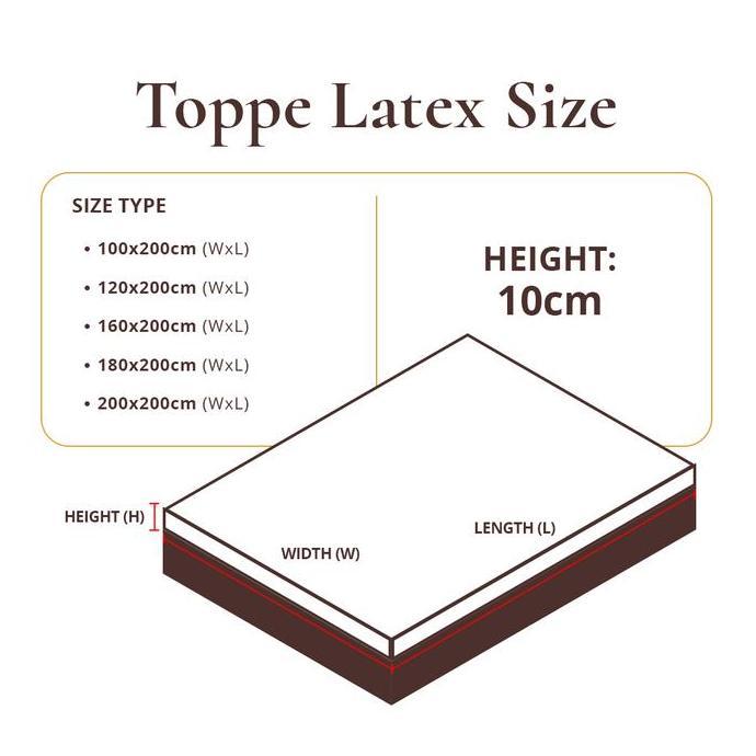 Topper Lady Americana Topper Essential Latex ( Double Size )