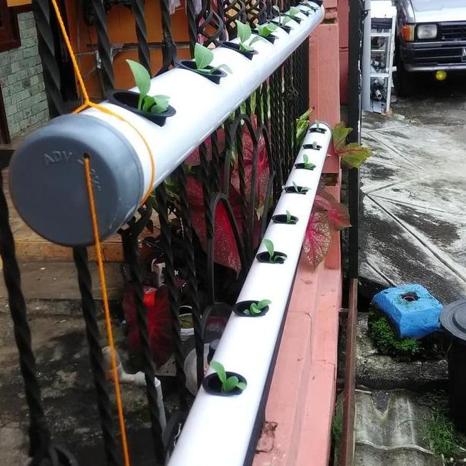 Paralon Hidroponik 10 Lubang Tanam PVC Hidroponik 2 Inch