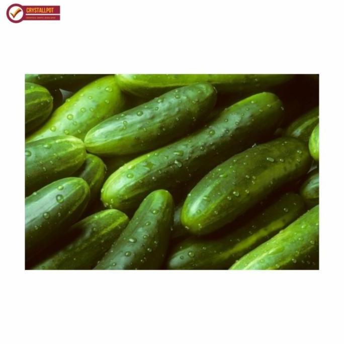 benih bibit timun lalap vitani f1 cap panah merah - TIMUN VITANI F1