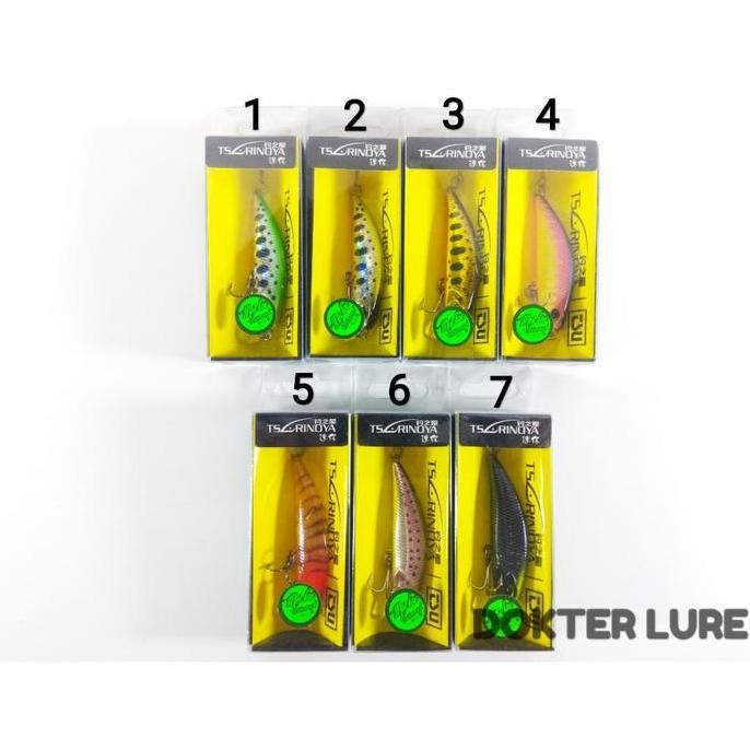 LURE Minnow Tsurinoya DW63 5gr 5cm Ultralight UL