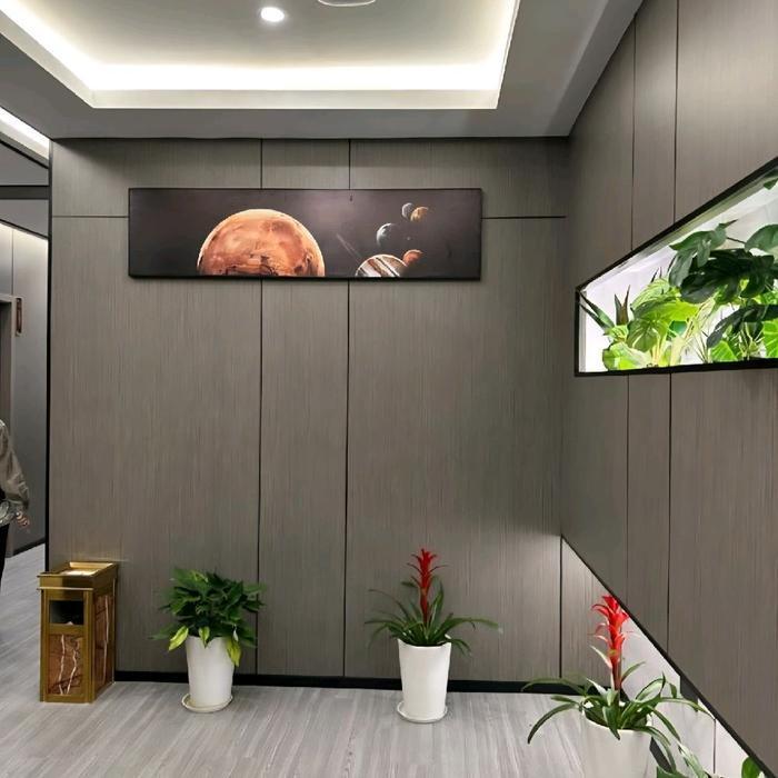 Wall Panel / Wall Board PVC Echo Exclusive Series