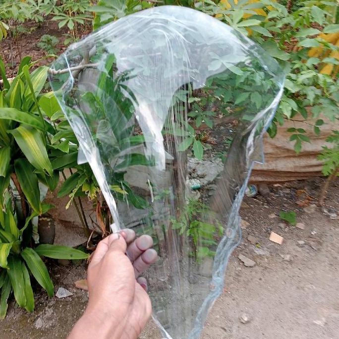 Visor Jenong Visor Jenong Blue R15V2 Ice