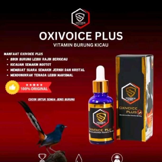 PROMO HARI INI - Oxivoice Plus vitamin burung murai batu untuk harian dan lomba