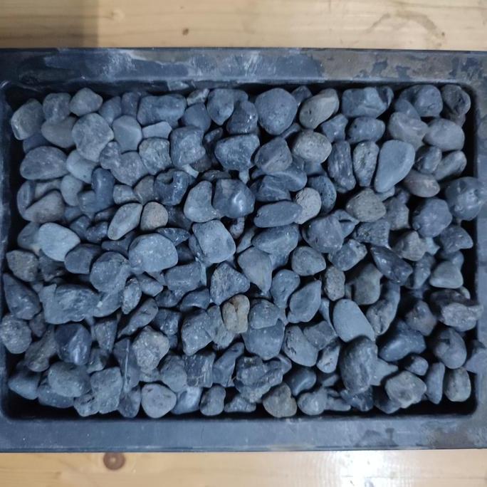 Batu Hitam Alor Bali (Batu Alam Koral Sikat Carport Garasi Lantai Hias Taman Akuarium)