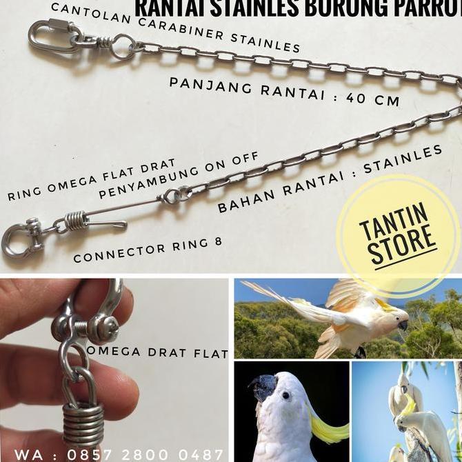 SALE - Rantai Stainles Burung Parrot Kakatua Medium Jambul Kuning