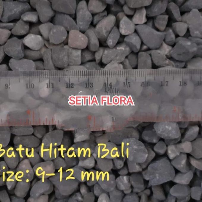Batu Alam Hias Taman Tanaman/Hitam Bali Karungan