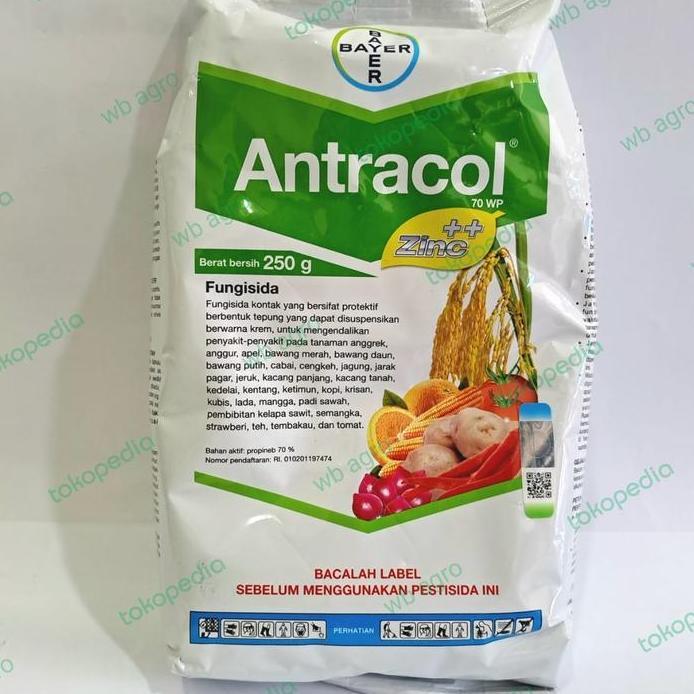 Fungisida Antracol 250 gr