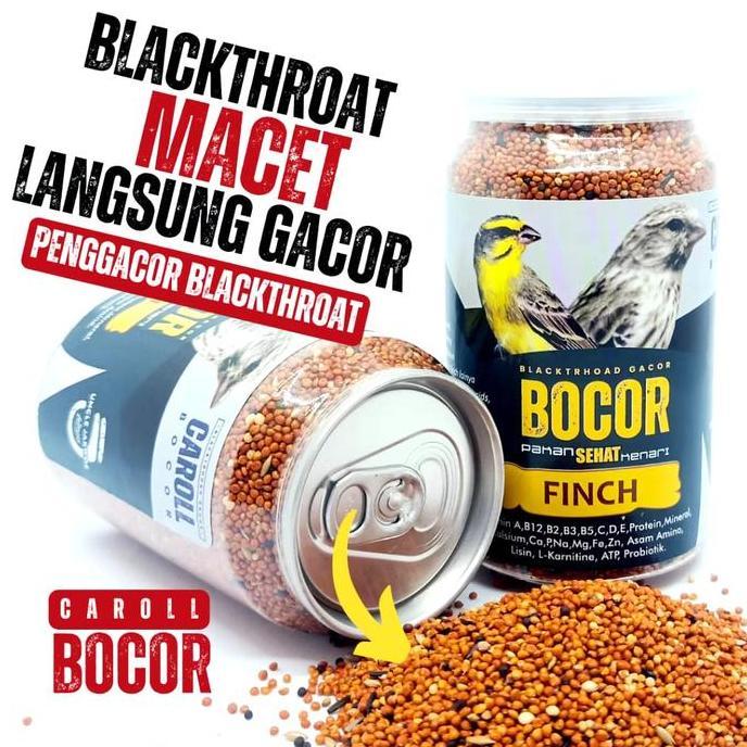 HOT DEAL - BOCOR CAROLL BLACKTHROAT PAKAN BURUNG BLACKTROOTH GACOR SANGER MACET LANGSUNG GACOR