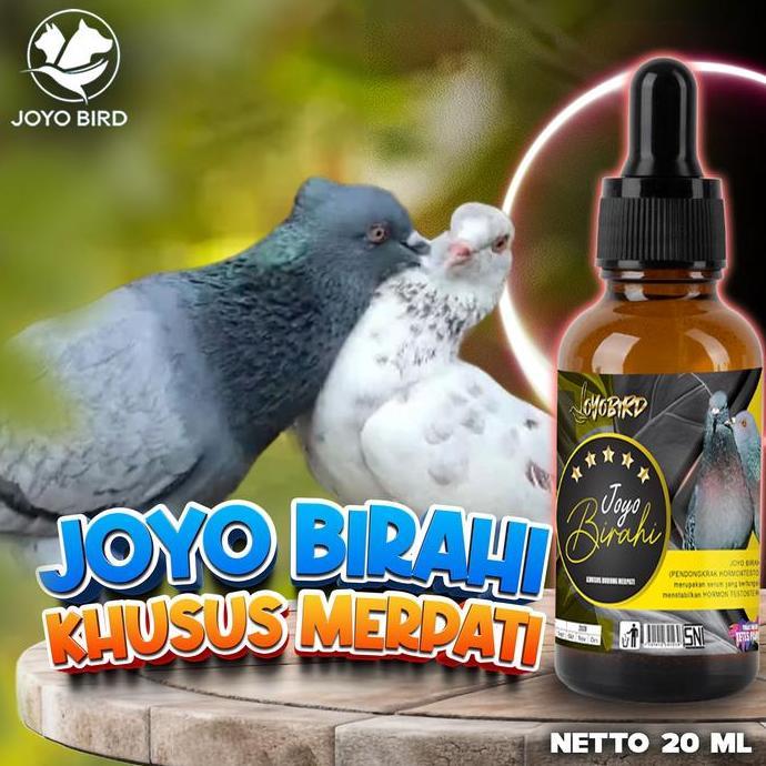 TERMURAH - VITAMIN BURUNG PENDONGKRAK BIRAHI TESTOTERON & ESTEROGEN MERPATI | VITAMIN BURUNG PENDONG