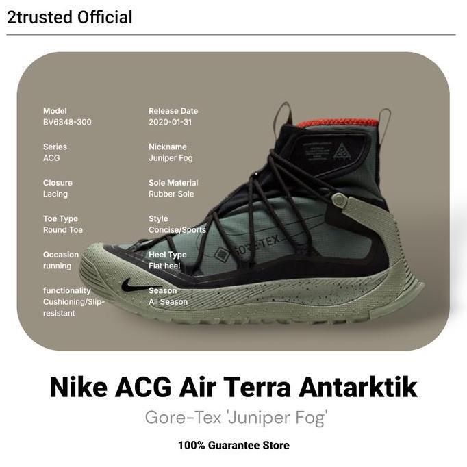 Ready Nike ACG Air Terra Antarktik Gore-Tex 'Juniper Fog'