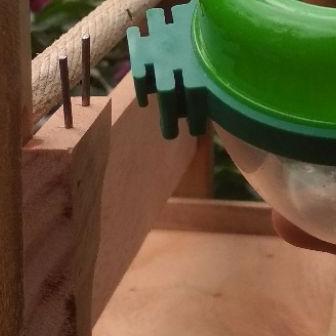 Sangkar Layang Kutilang Trucuk Perkutut Burung Pikat Kutilang Sangkar Burung Jinak