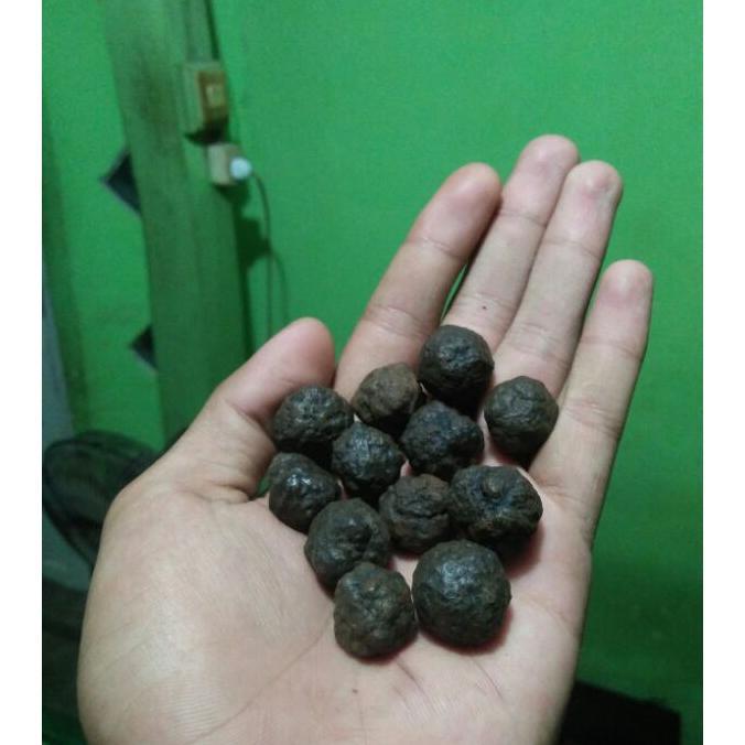 Munta Besi / Monta Bassi Aktif