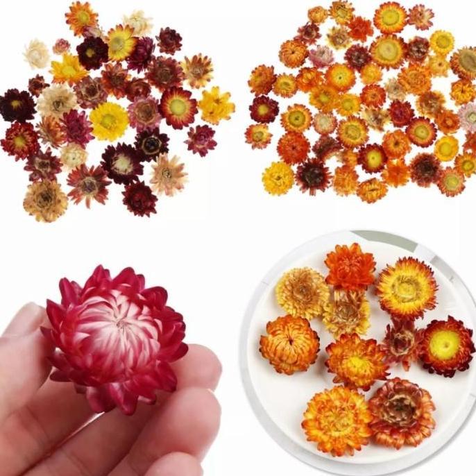 Edible Dried Flowers Cake Decoration Bunga Kering Topper Kue Hiasan 10gr