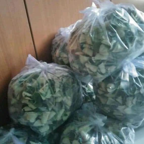 Daun bidara kering 1 kg super