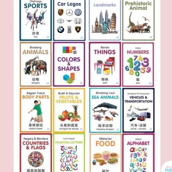 My Own Flashcards 3 Bahasa Flash Card Animal Body Parts Kartu Pintar Mainan Edukasi Flashcard Anak