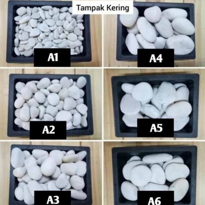 batu koral pancawarna/batu koral putih/ batu hias