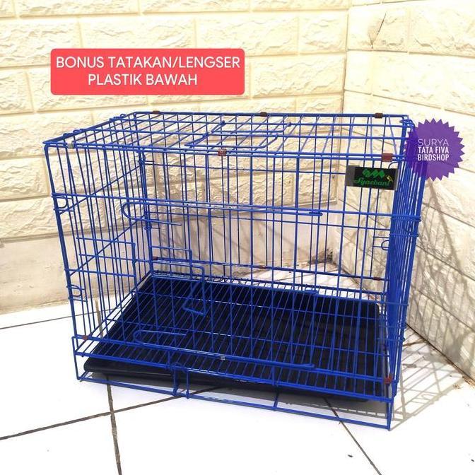 Sangkar Kucing Kecil Kandang Kucing Kelinci Ukuran 47x29x38 Dilipat Cat Powder Coating Anti Karat Bo