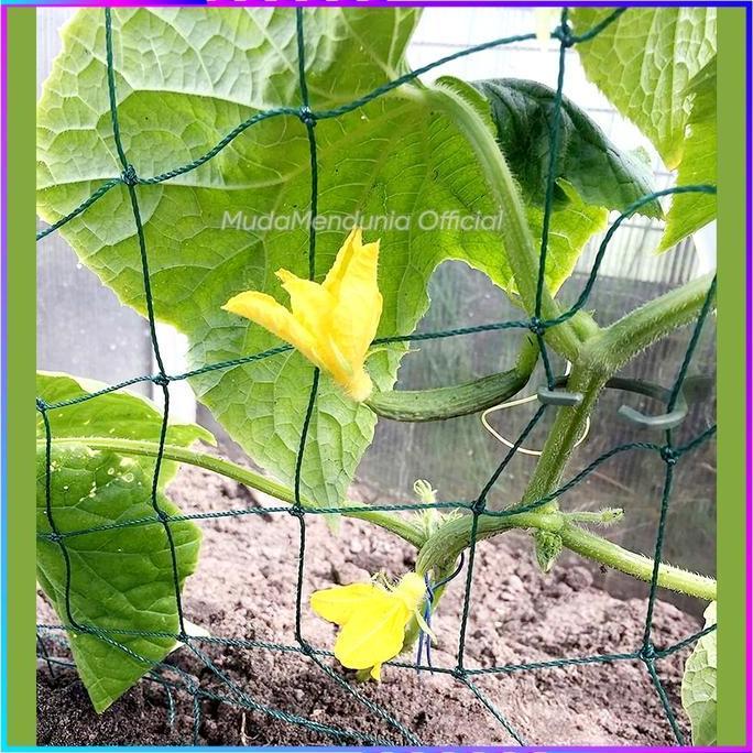 JARING TANAMAN RAMBAT PERMETER MURAH