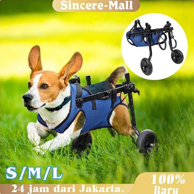 DZAPIRA Alat Bantu Jalan Anjing Kucing / Kucing Anjing Hind Legs / Kursi Roda Hewan