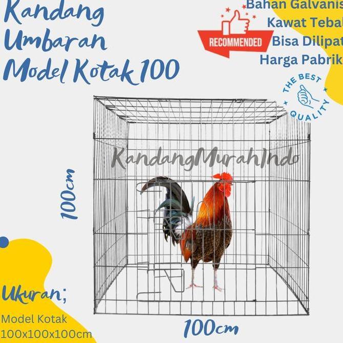 Kandang Ayam Murah Lipat Galvanis I Kandang Umbaran I Kandang Jemur