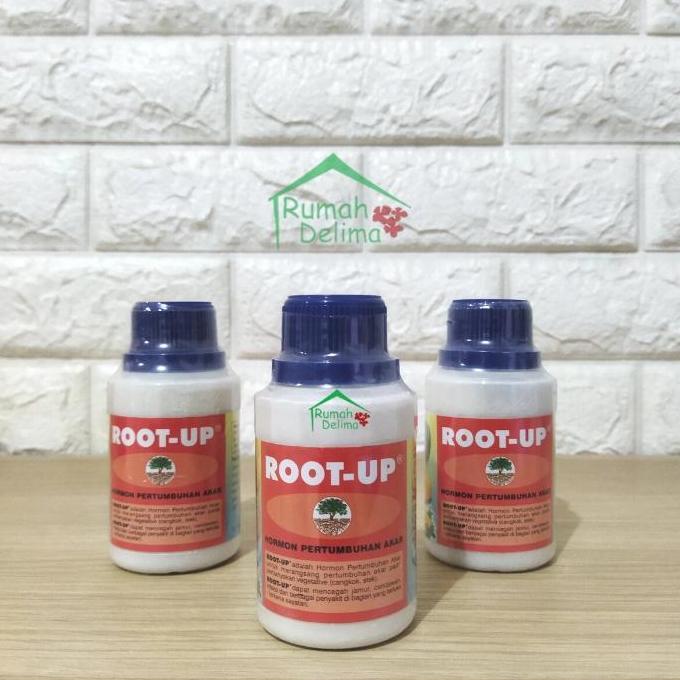 NEW ZPT/PERANGSANGG AKAR/OBAT CANGKOK DAN STEK/ ROOT UP ORI