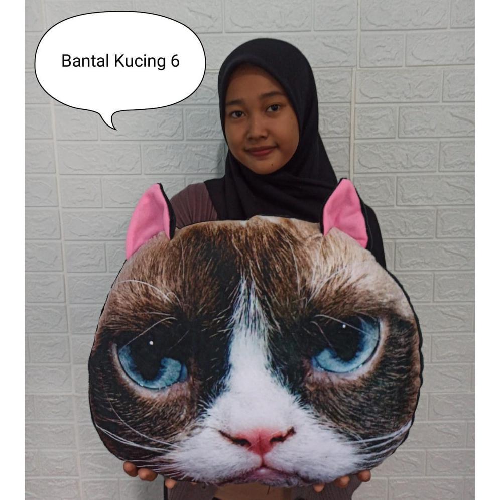 Premium Bantal Boneka Kucing Cat Lucu Boneka Jumbo Bantal Kucing Bantal Karakter Hewan