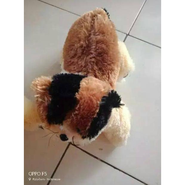 Murah Boneka Kucing Jumbo Gratis Anak