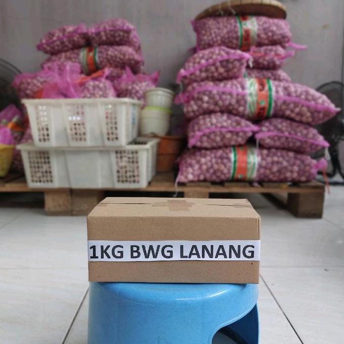 1kg Ukuran SEDANG [20mm-23mm]  Bawang Lanang Putih Tunggal Kualitas Bagus Pilihan [BISA COD]