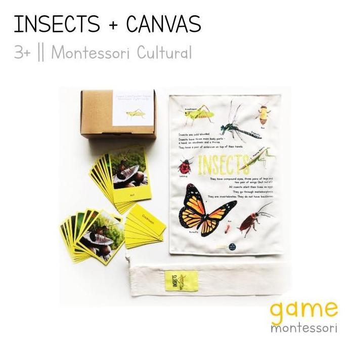 Montessori Animal Classification Mammals, Fish, Insects