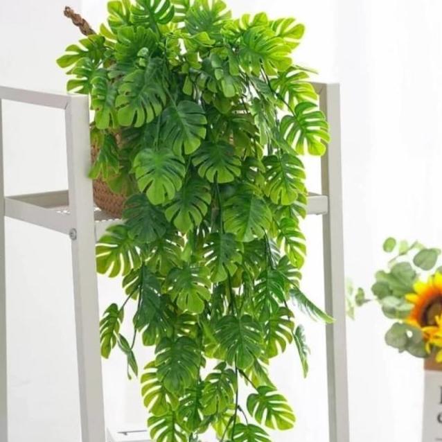 Daun juntai monstera bambu daun rambat gantung artificial daun hias