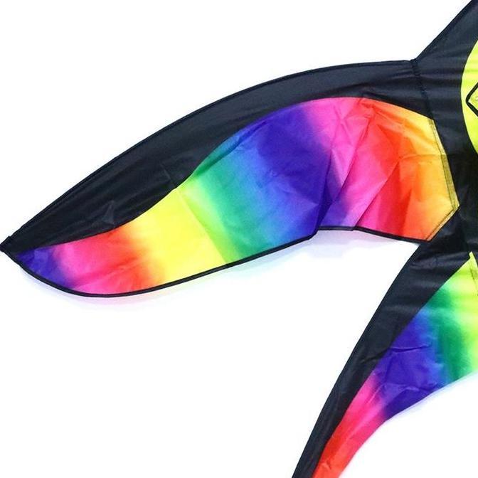 Layangan Bapangan Besar Layang Layang Model Burung Layang Layang Warna