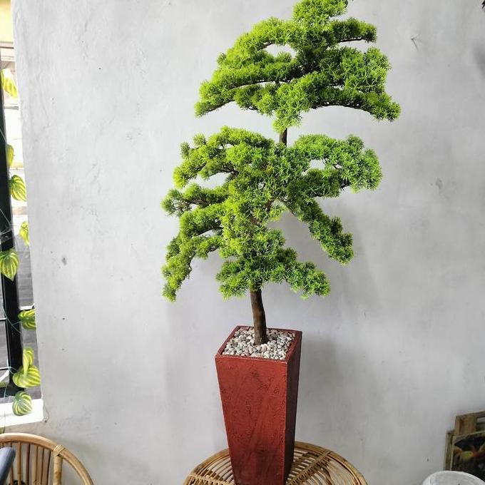 BIG SALE - pohon bonsai cemara udang tinggi 120 cm - pohon bonsai artificial